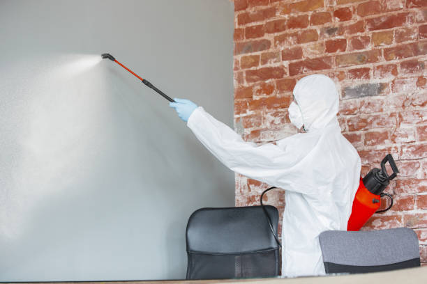 Best Mold Remediation for Vacation Homes  in Crossett, AR