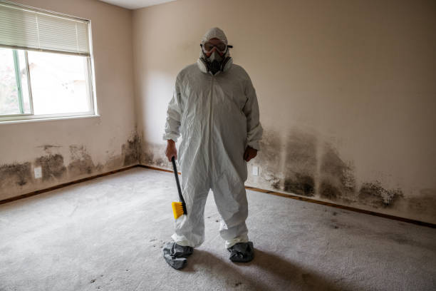 Best HVAC Mold Inspection and Cleaning  in Crossett, AR