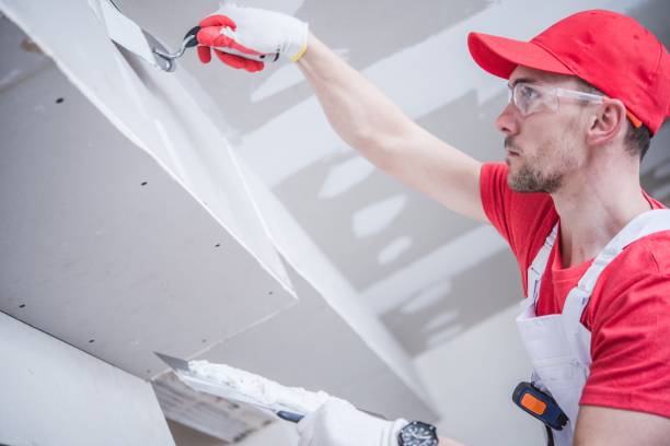 Trusted Crossett, AR Mold Removal Experts